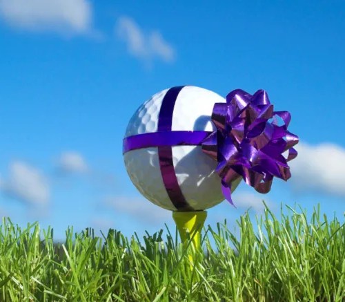 2026 Weekday Senior (60+) Ten Play Pass